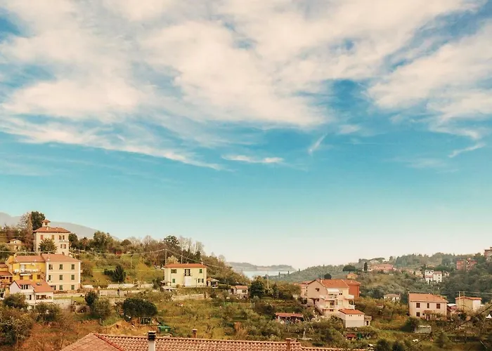 Beautiful In -sp- Pitelli